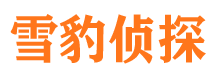 辉南私家侦探公司